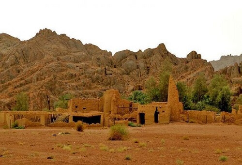 Hatem Al-Taei's home